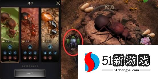 小小蚁国新手开局怎么玩-新手开局玩法技巧分享[多图]图片4