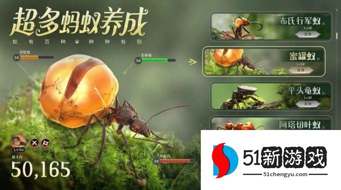 小小蚁国什么蚂蚁比较强-最强蚂蚁排行榜一览[多图]图片3