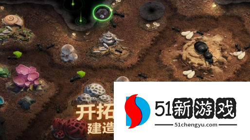 小小蚁国各类场景阵容推荐-小小蚁国新手阵容攻略[多图]图片2