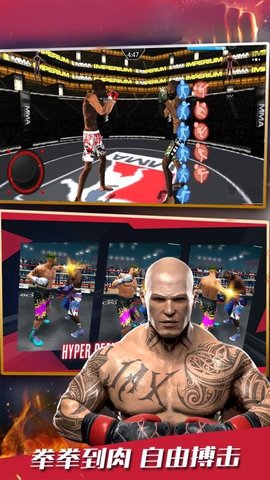 格斗冠军杯 1.0 安卓版