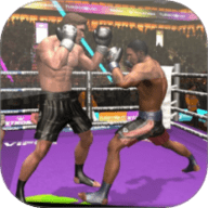 格斗冠军杯 1.0 安卓版