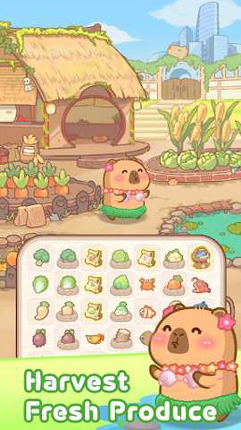 慢豚豚生活 1.3.5 安卓版