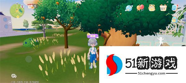 心动小镇9.15溜溜橡木与无瑕萤石位置