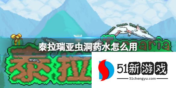 泰拉瑞亚虫洞药水怎么用-虫洞药水使用方法说明[多图]图片1