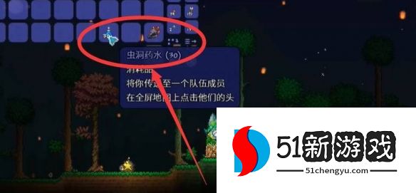 泰拉瑞亚虫洞药水怎么用-虫洞药水使用方法说明[多图]图片3