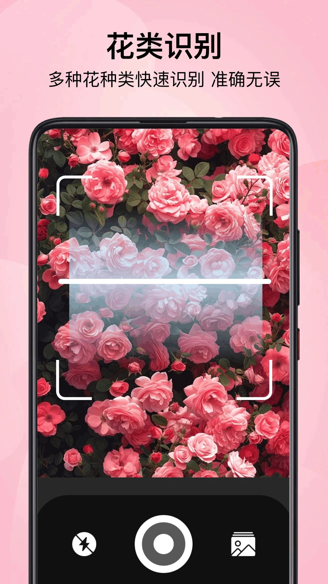 小园丁追剧极速版