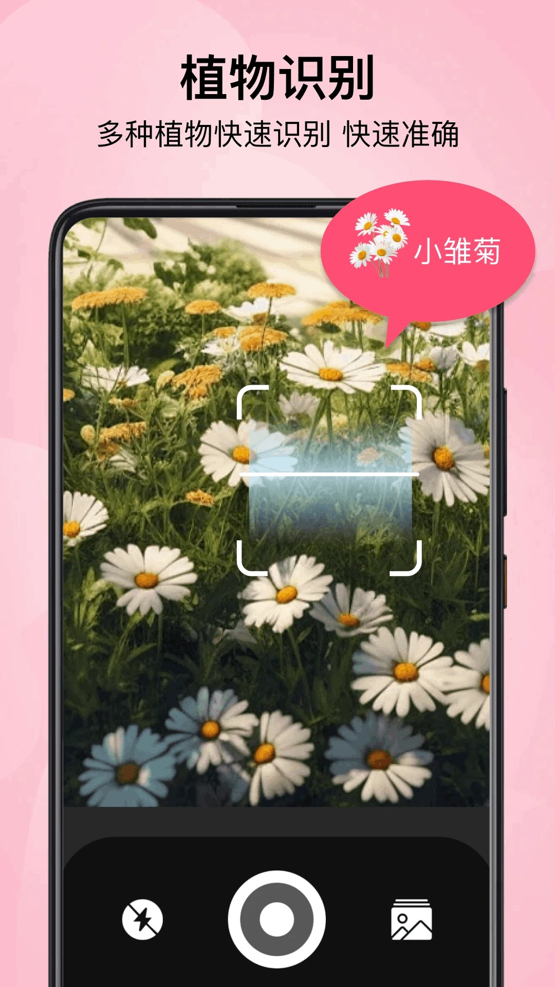 小园丁追剧极速版