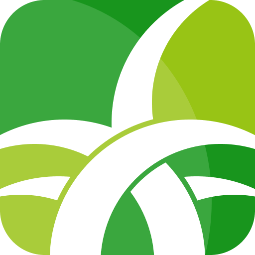 野草助手2026最新口令