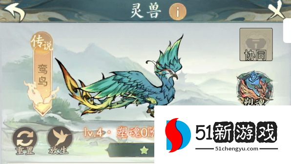 寻道大千朱雀流派搭配攻略