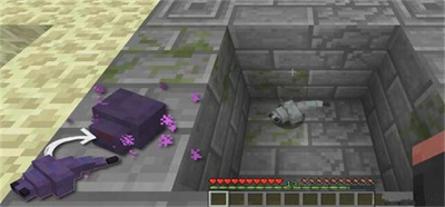 我的世界末影螨怎么生成 末影螨生成方法说明[多图]图片2