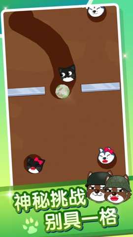 这可不好过 1.0.1 安卓版