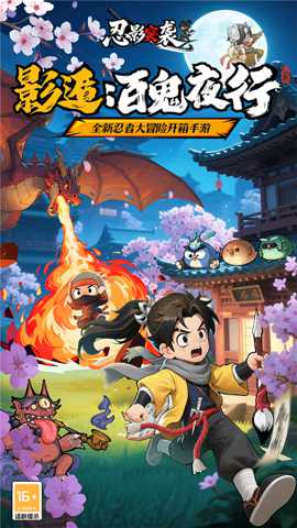 忍影突袭 1.0 安卓版