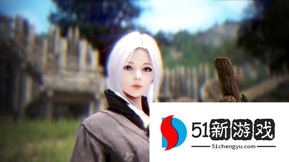 黑色沙漠手游捏脸数据代码2022大全 捏脸数据导入方法分享[多图]图片4