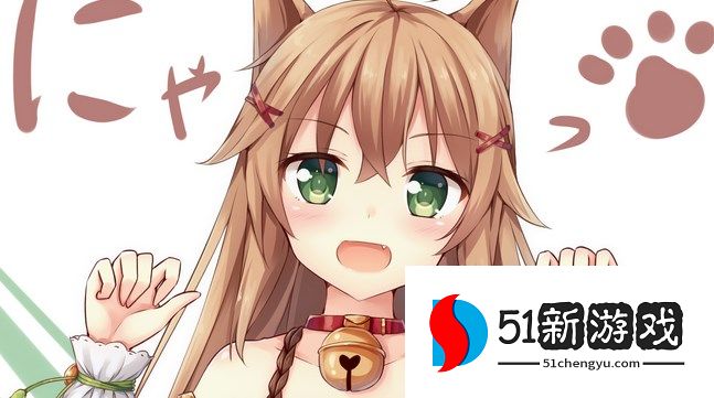 次元喵网络异常怎么解决