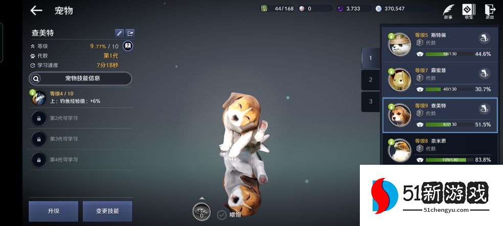 黑色沙漠消失的浣熊任务攻略  消失的浣熊任务怎么完成[多图]图片1