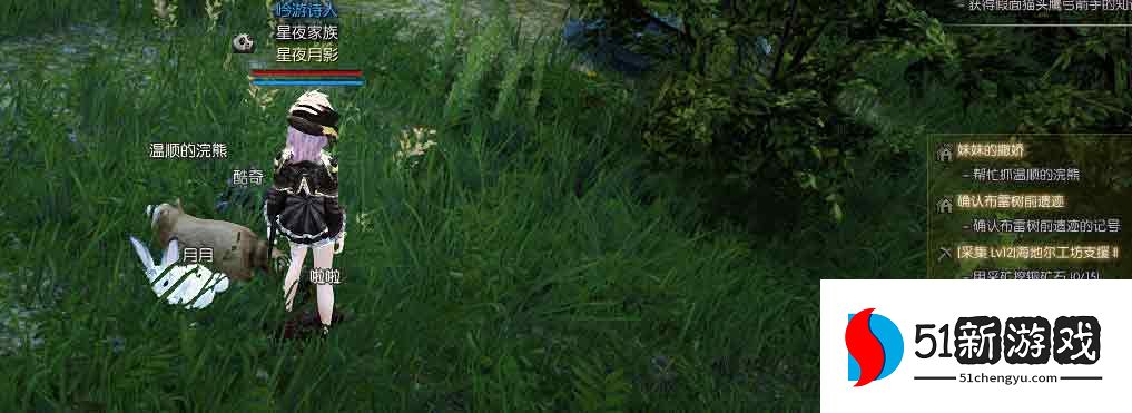 黑色沙漠消失的浣熊任务攻略  消失的浣熊任务怎么完成[多图]图片2