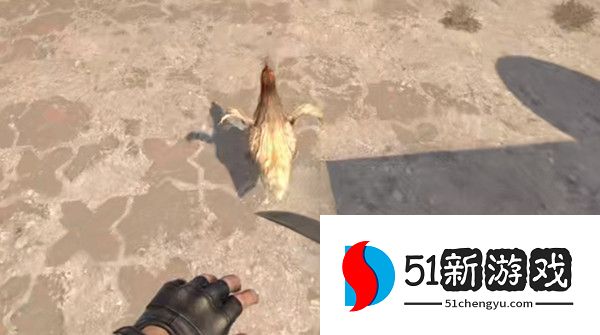 csgo怎么养鸡 csgo里面的鸡怎么驯养[多图]图片1