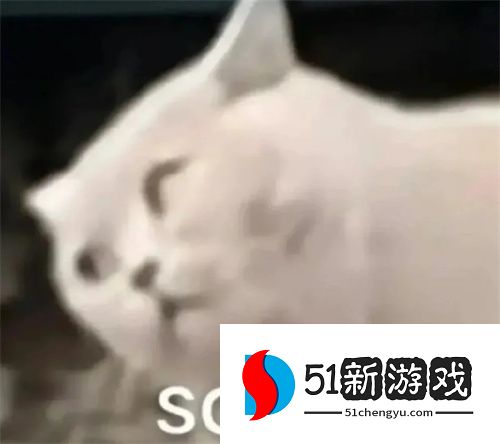 动物系列最新沙雕表情包分享