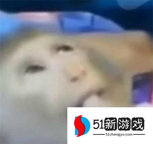 动物系列最新沙雕表情包分享