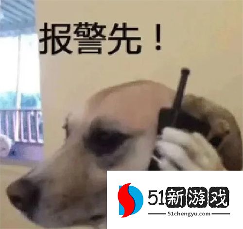 可爱搞怪聊天表情包分享