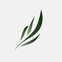 东南小说2026最新版