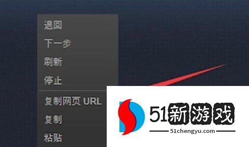 steam手机版个人链接在哪里查看和获取