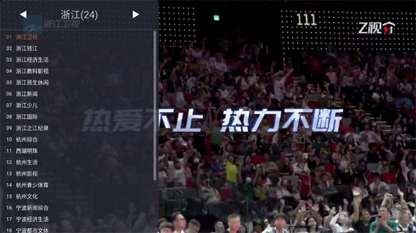 webviewTV官方下载