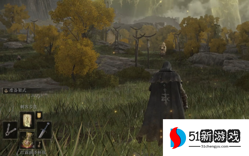 艾尔登法环密使和观星者哪个好