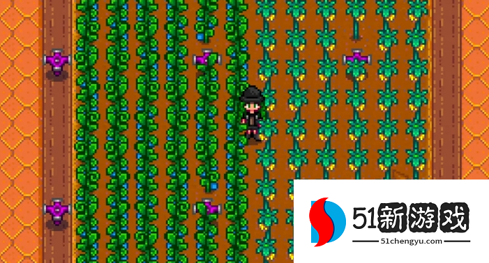 星露谷物语什么农作物收益最高