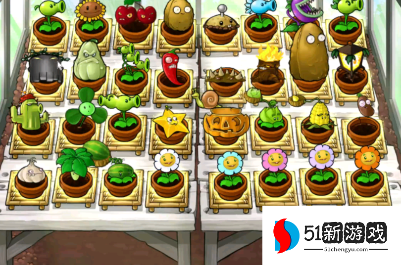 植物大战僵尸花园怎么刷钱 植物大战僵尸花园怎么刷钱