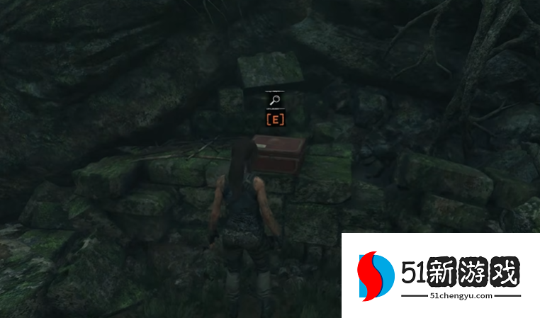 古墓丽影暗影秘鲁丛林文献怎么拿