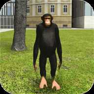 猩猩开放世界 2.13 安卓版