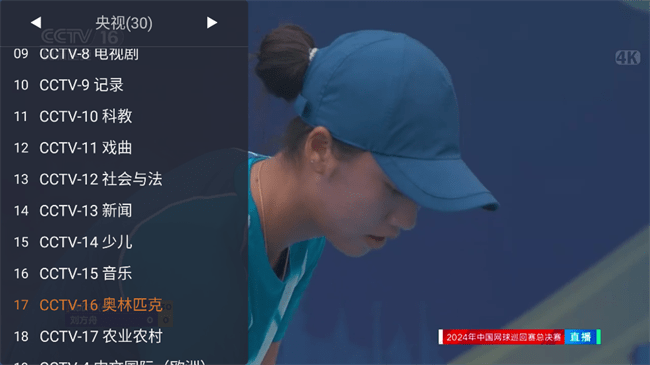 webview电视tv版官网