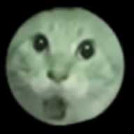 圆头猫大作战 1.0 安卓版