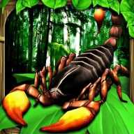 蝎子争霸赛 1.1 安卓版