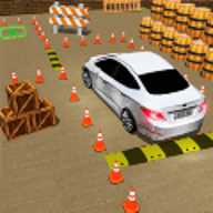 司机停车模拟器 1.21 安卓版
