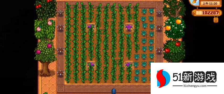 星露谷物语第一年冬天怎么玩