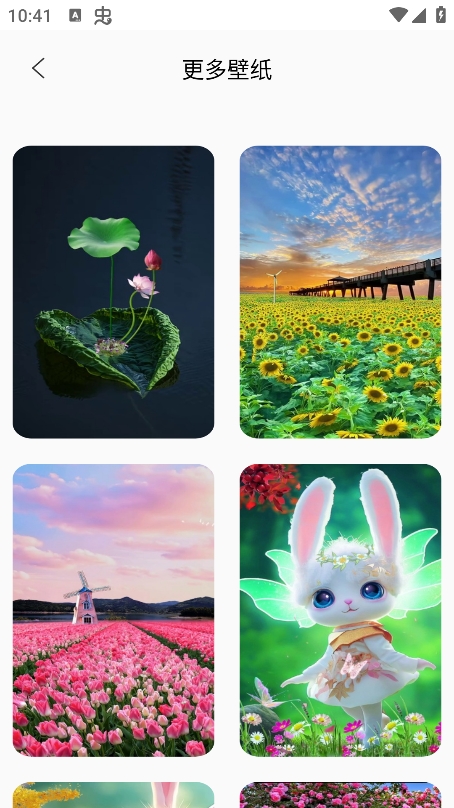 Quin壁纸2026最新版