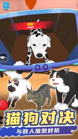 猫咪是我 0.250812.162 手机版