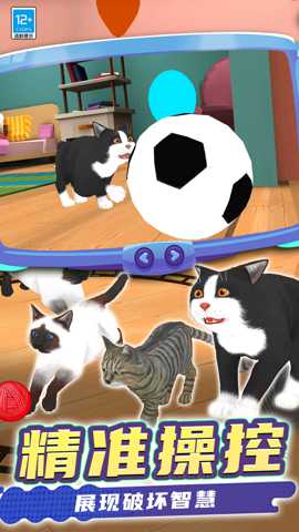 猫咪是我 0.250812.162 手机版