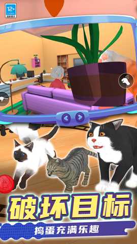 猫咪是我 0.250812.162 手机版