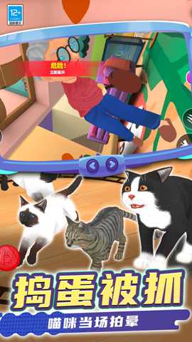 猫咪是我 0.250812.162 手机版