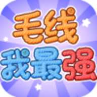 毛线我最强 1.1.2 安卓版
