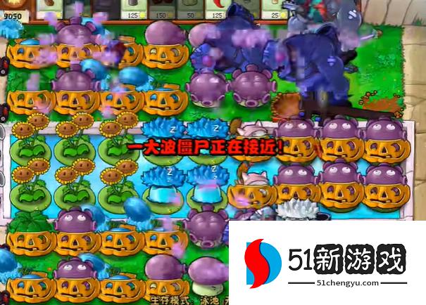 植物大战僵尸小向日葵有什么用