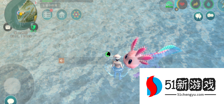 创造与魔法小蝾螈饲料怎么做