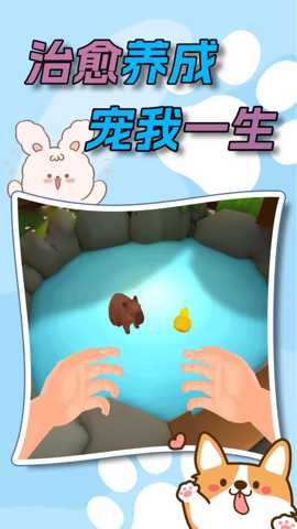 水下家园 05.250905.01 安卓版