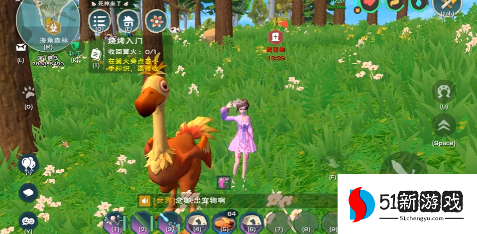 创造与魔法坐骑如何获得怎么驯服坐骑