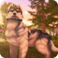 狼传说家园与爱心 v200225 安卓版