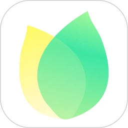 飞火动态壁纸2026最新版