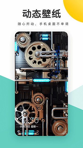 蜻蜓壁纸2026最新版